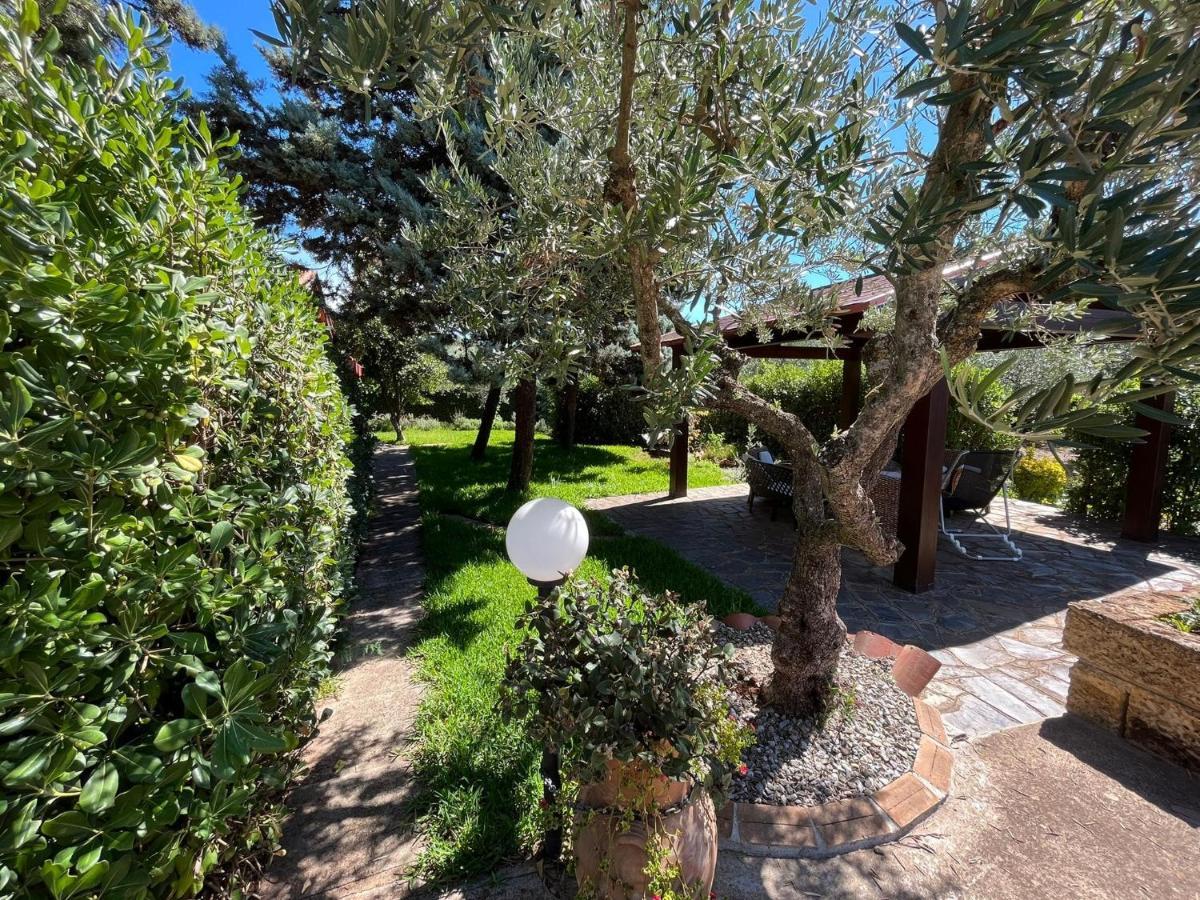 B&B Casa Vigne Castrovillari Exterior photo